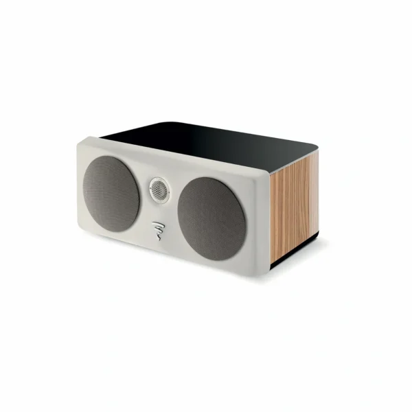 A speaker that is sitting on the ground.